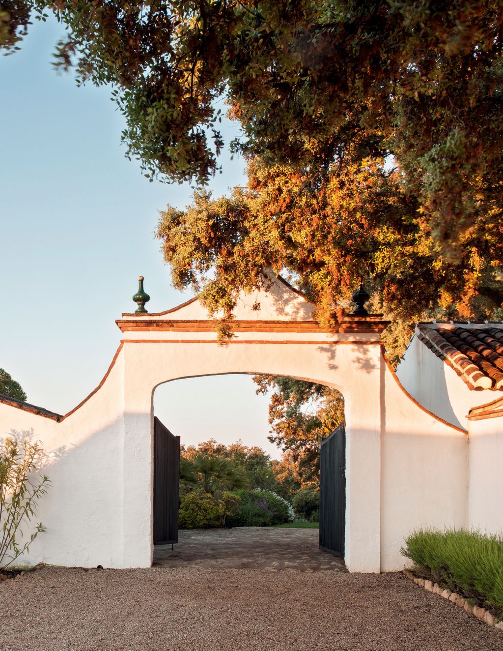 Image may contain Tree Plant Housing Villa House Building Outdoors Garden and Tree Trunk