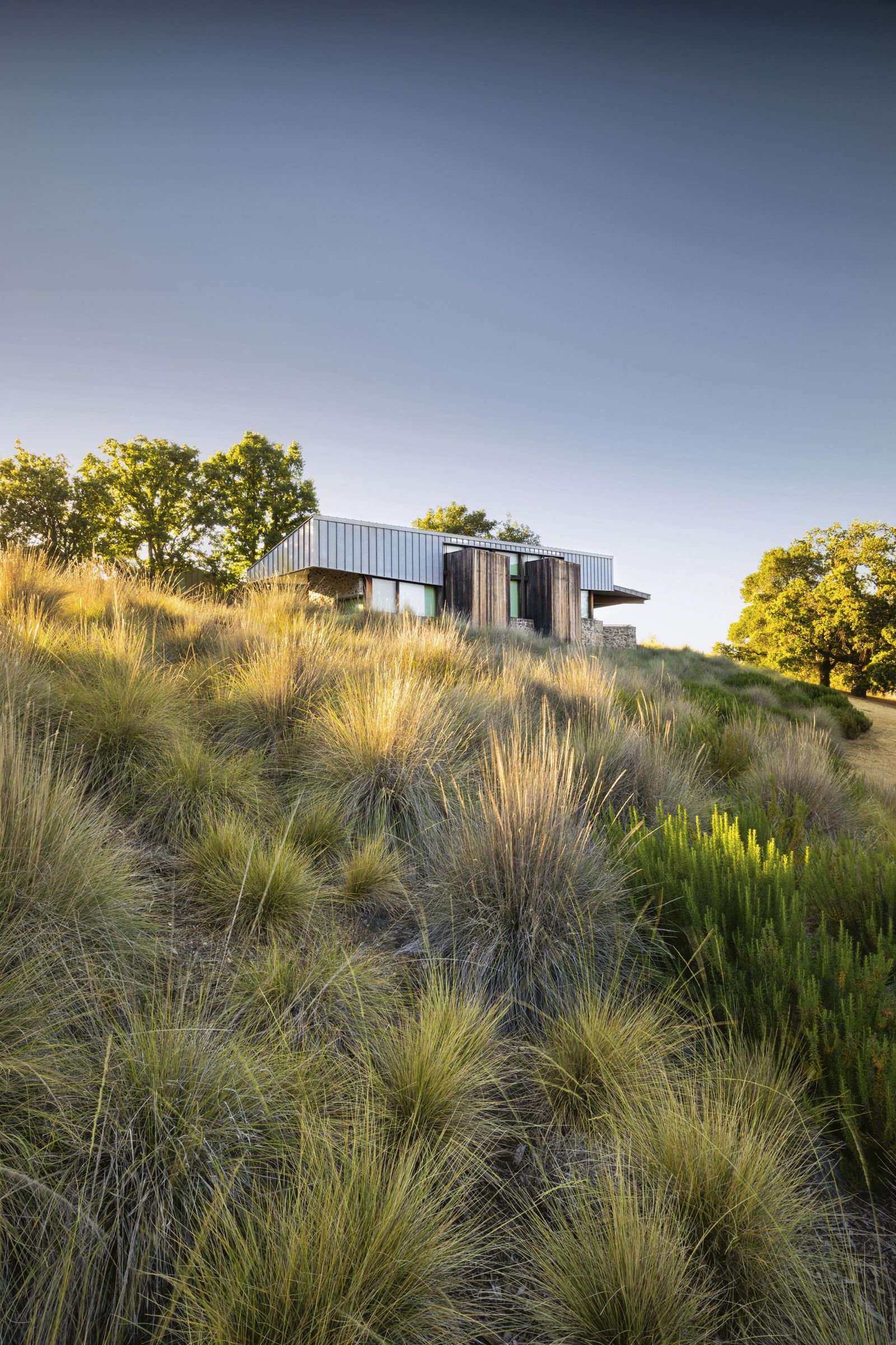 Andrea Cochran's California garden