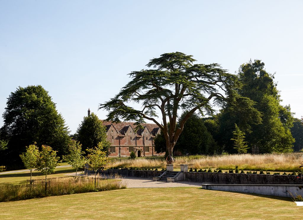 Image may contain Plant Tree Grass Fir Abies Outdoors Campus and Field