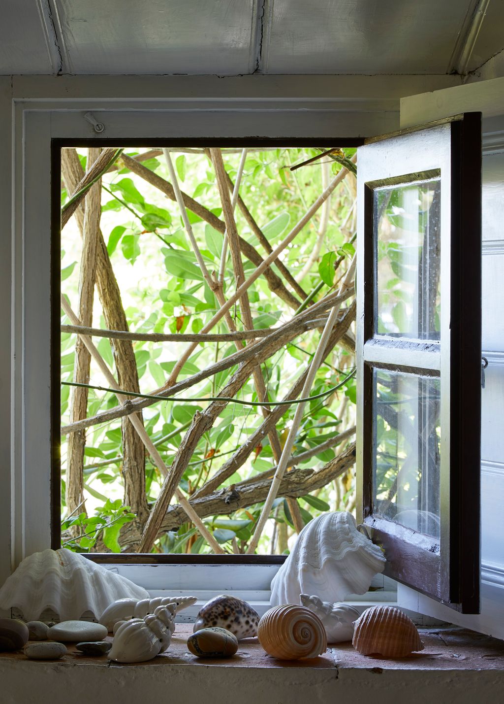 Image may contain Window and Picture Window