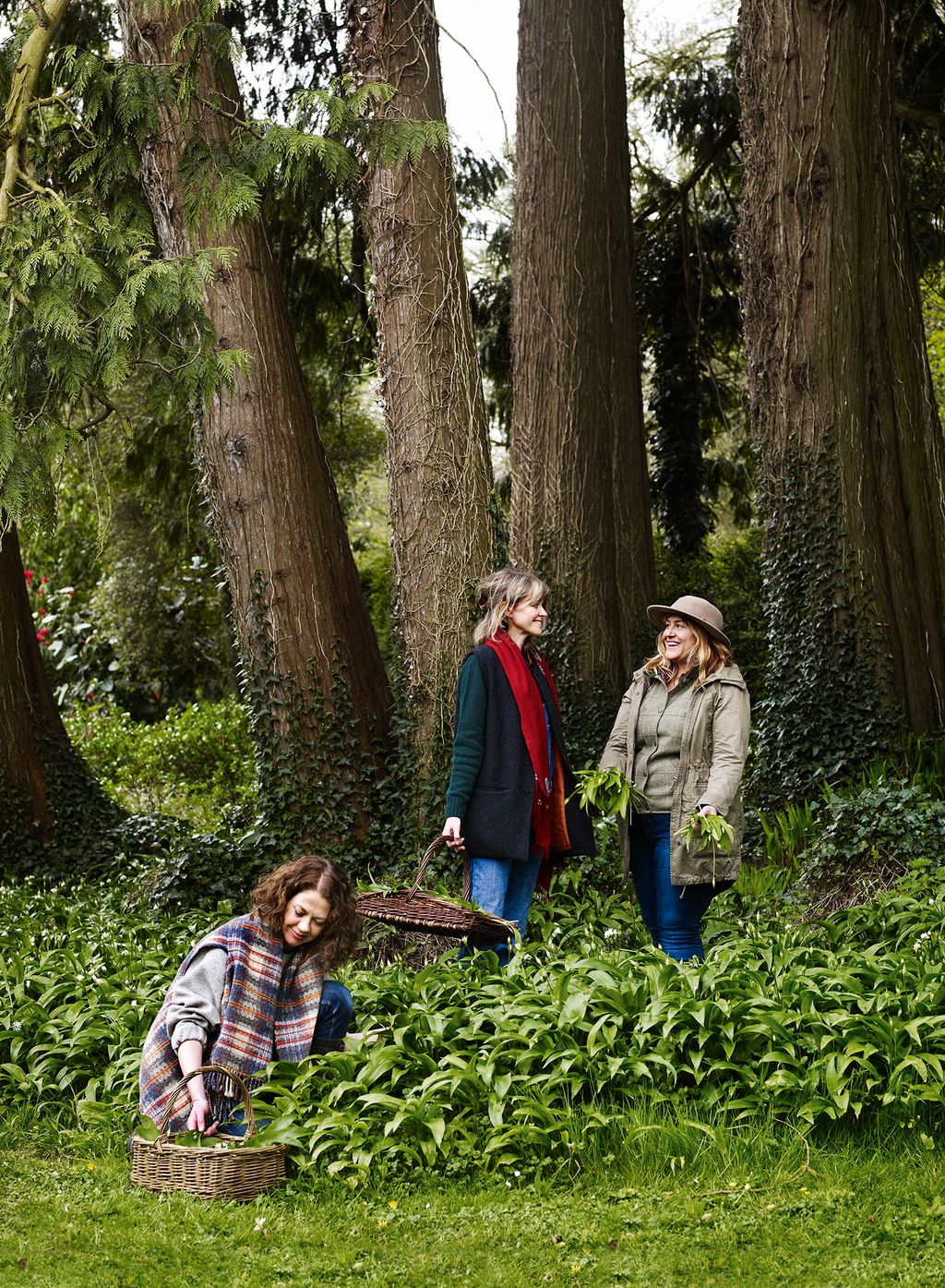 Image may contain Clothing Apparel Plant Tree Human Person and Tree Trunk