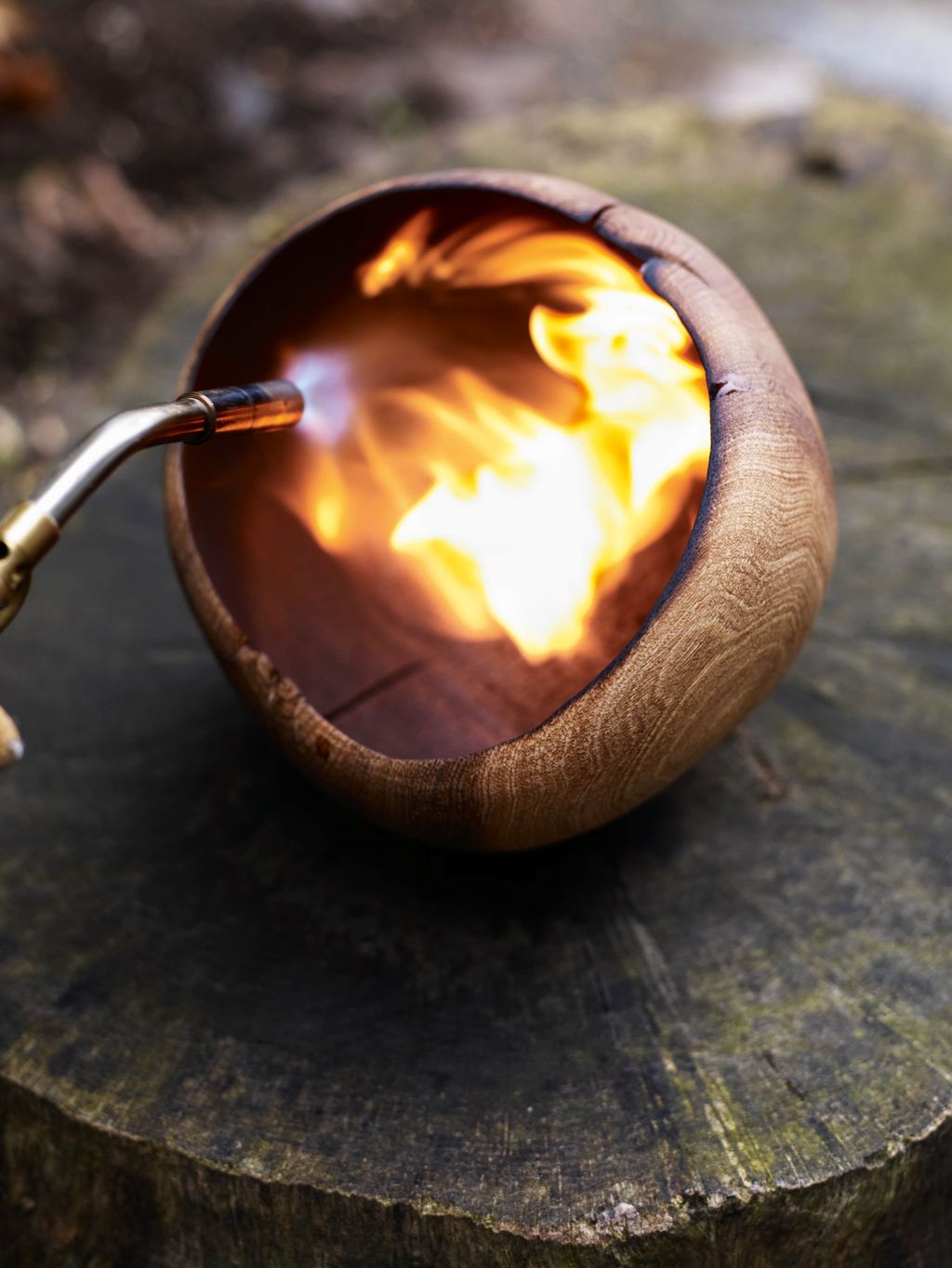 Image may contain Forge and Fire