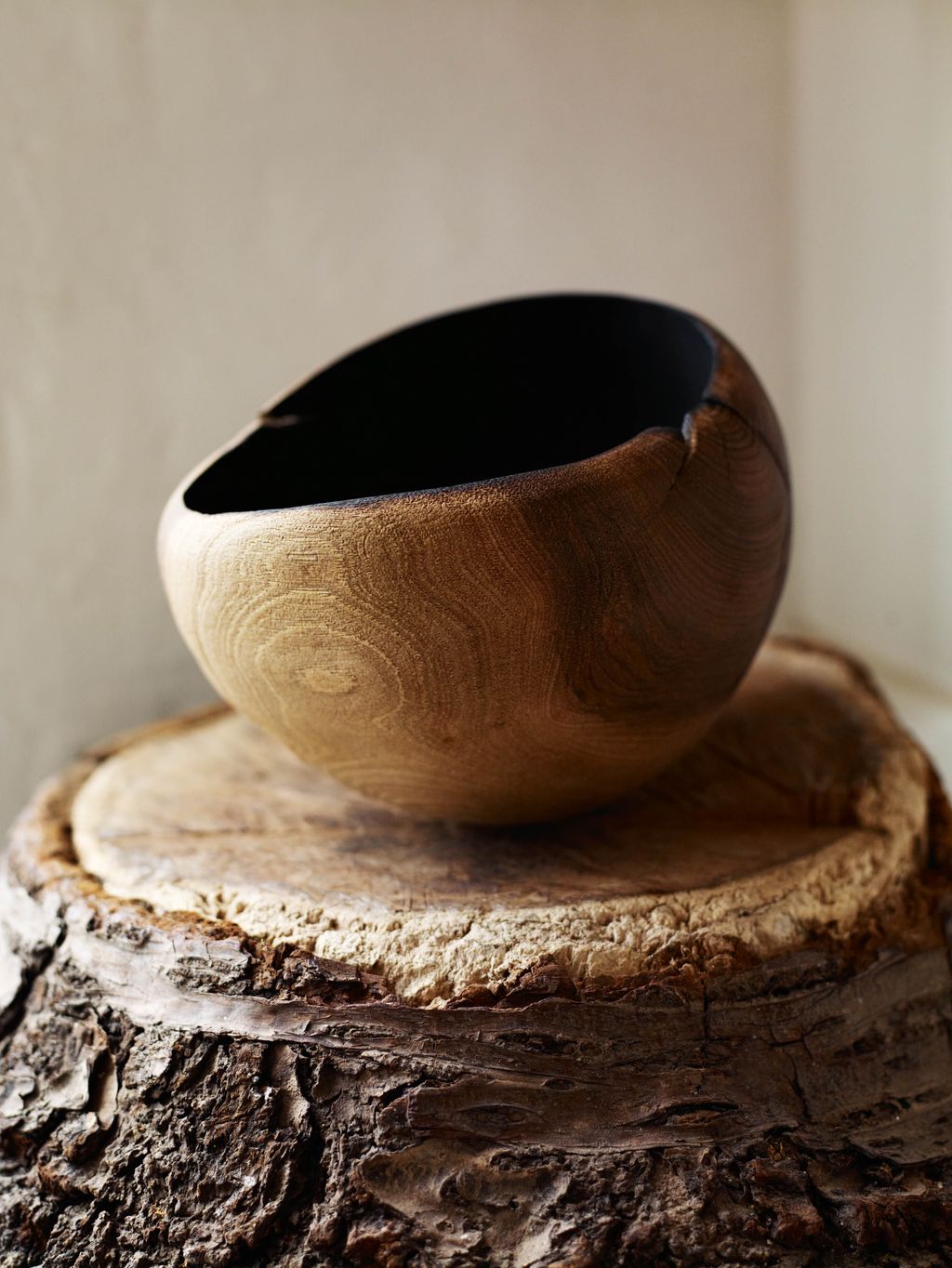 Image may contain Bowl Hat Clothing Apparel Pottery Animal Reptile and Snake