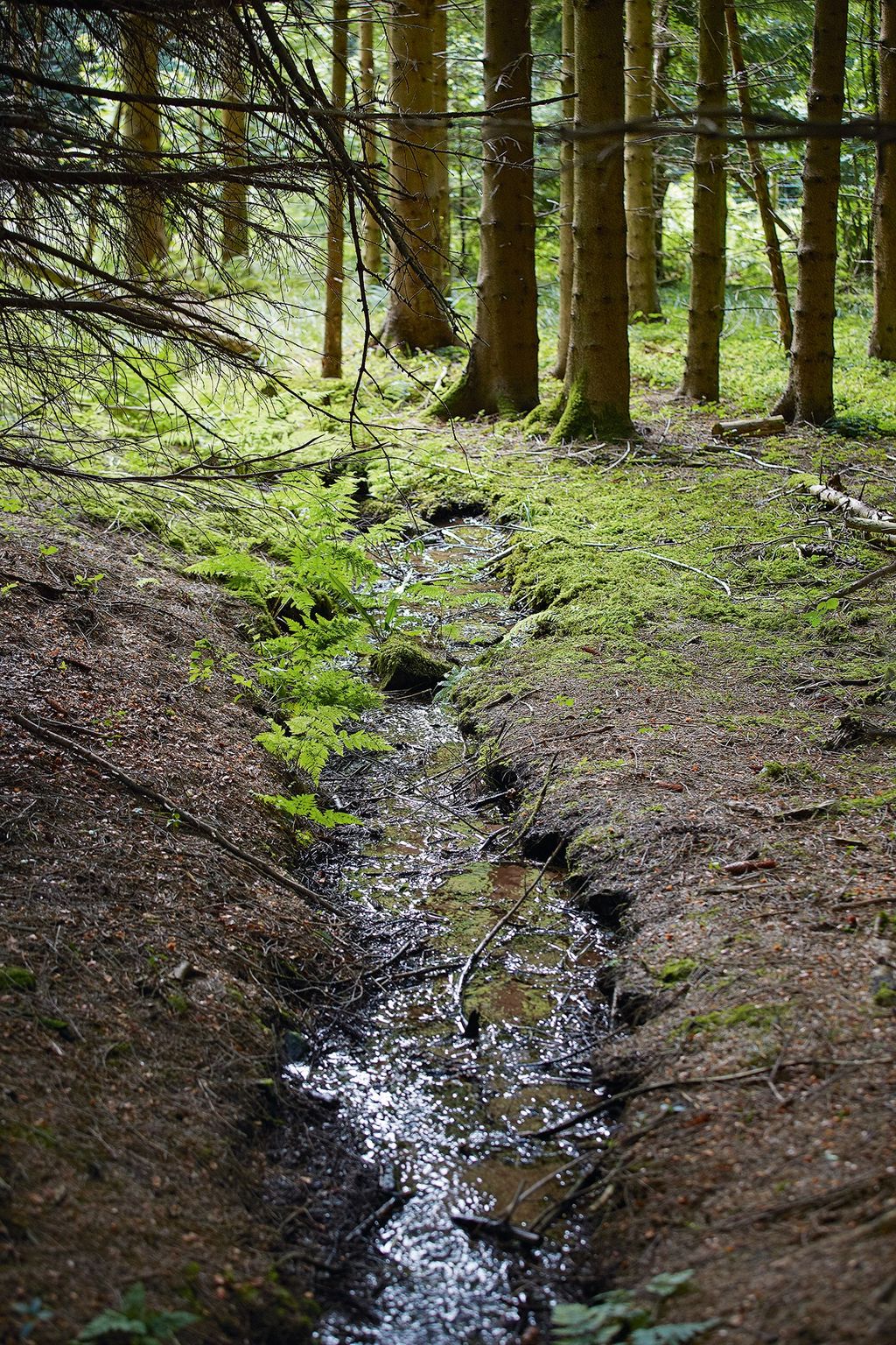 Image may contain Ground Ditch Outdoors Nature Water and Land