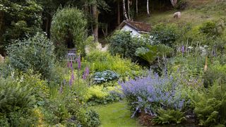 Image may contain Plant Outdoors Garden Grass Arbour Animal Sheep Mammal Vase Pottery Potted Plant and Jar