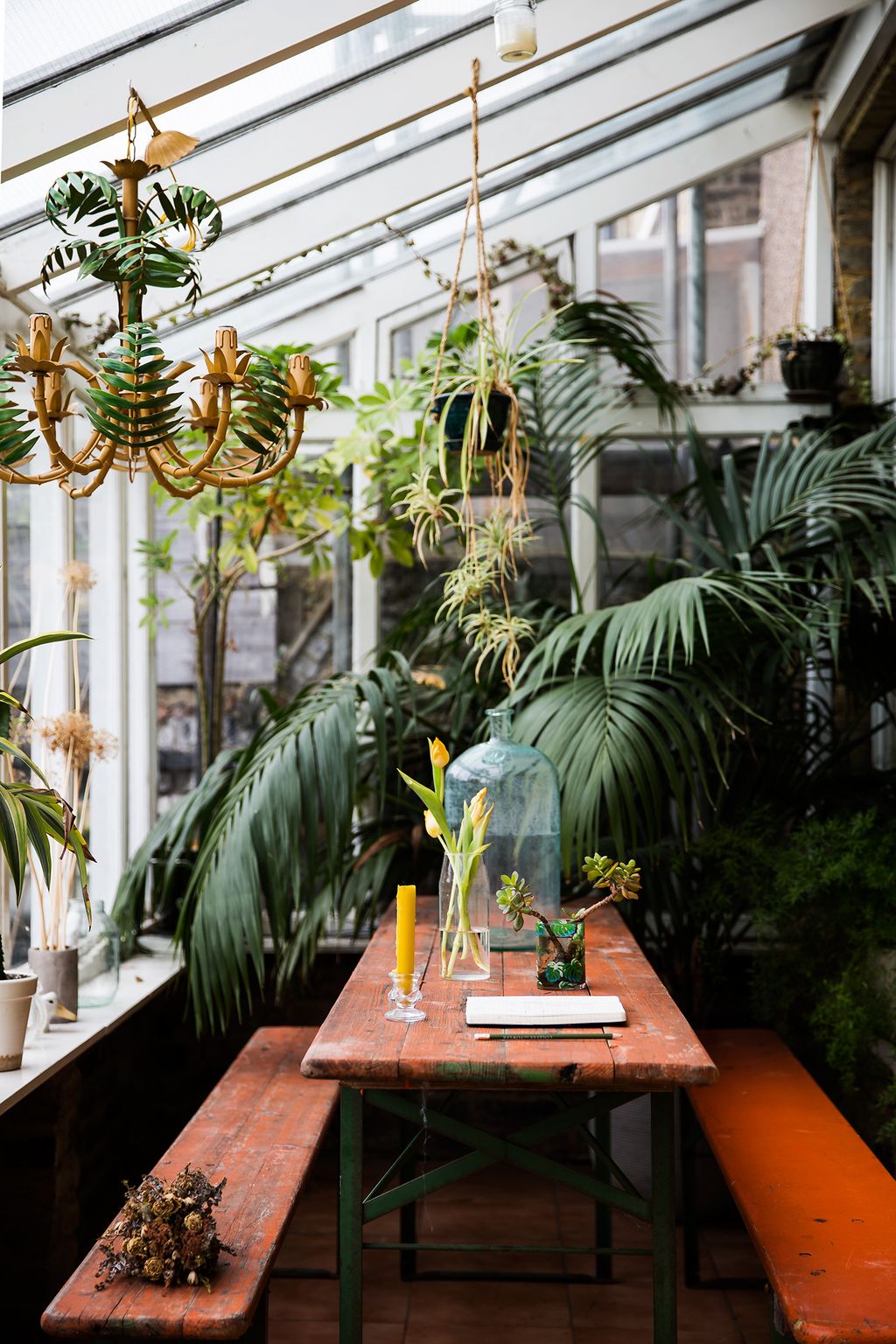 Image may contain Furniture Tabletop Table Plant and Dining Table