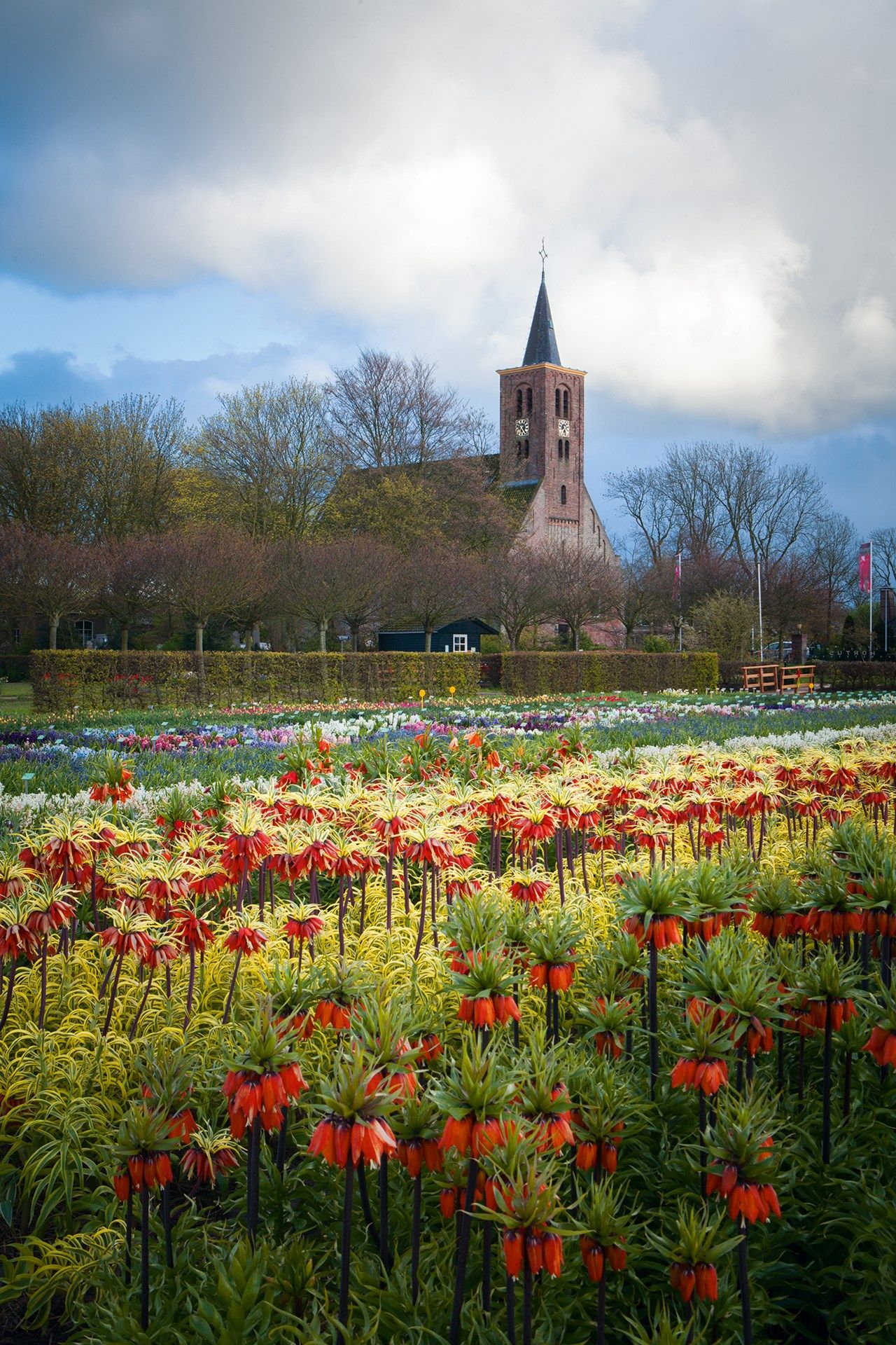 Limmen Church Amsterdam's Rare Tulip Garden | Outdoor Spaces