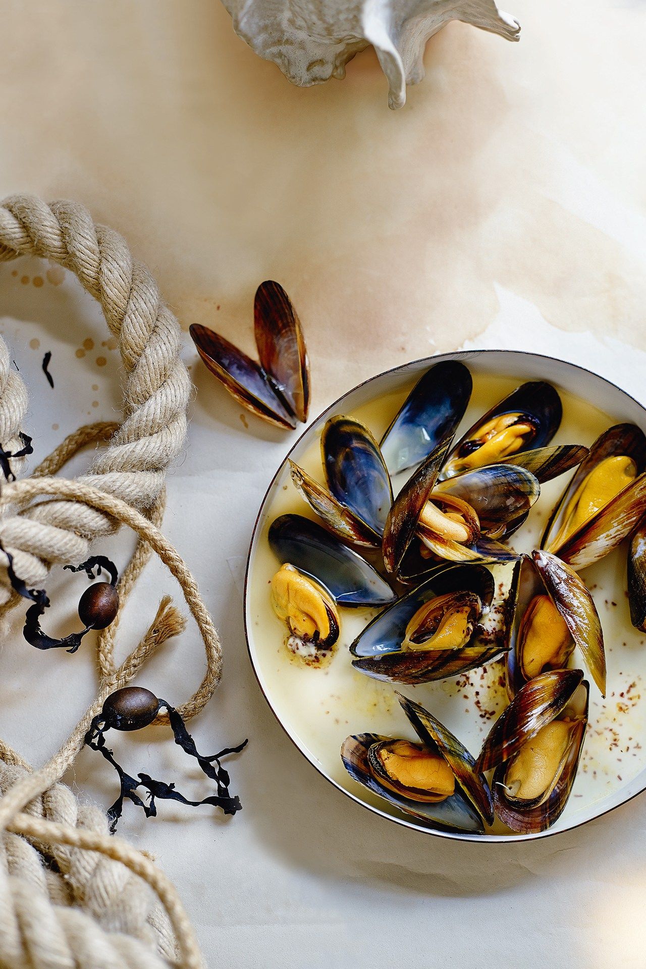 Image may contain Animal Clam Sea Life Seashell Invertebrate Bird Food Meal and Dish