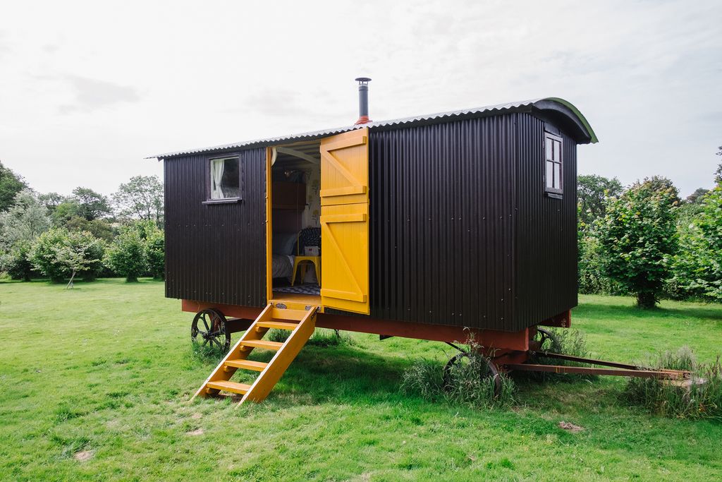 Molly painted the outside of the shepherd's hut in a deep aubergine colour to pick up on the purple colour of the new...