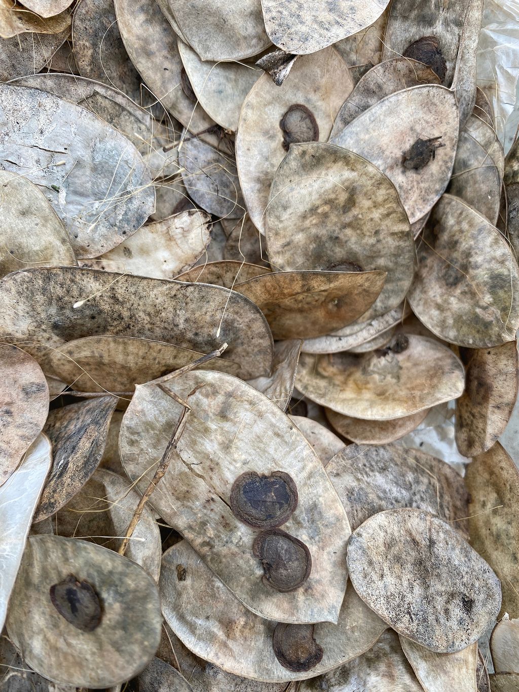 Image may contain Wood Rock and Rubble