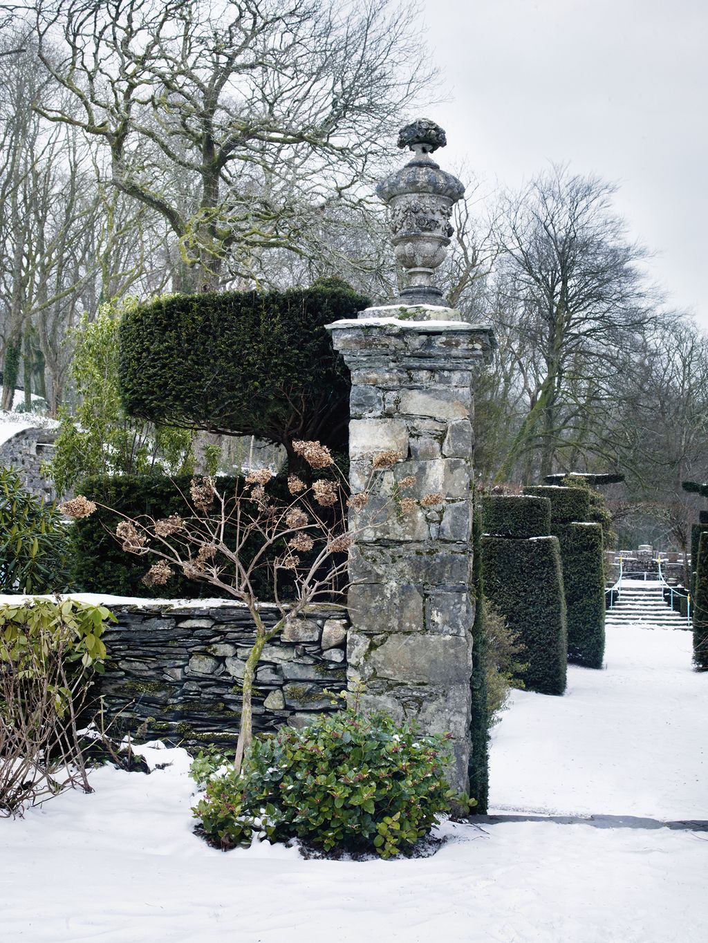 Image may contain Outdoors Garden Arbour Slate and Plant