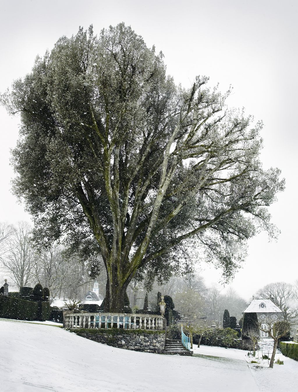 Below the house is a large and impressive evergreen oak  on a terrace. The orangery which dates from 1913 can be seen on...
