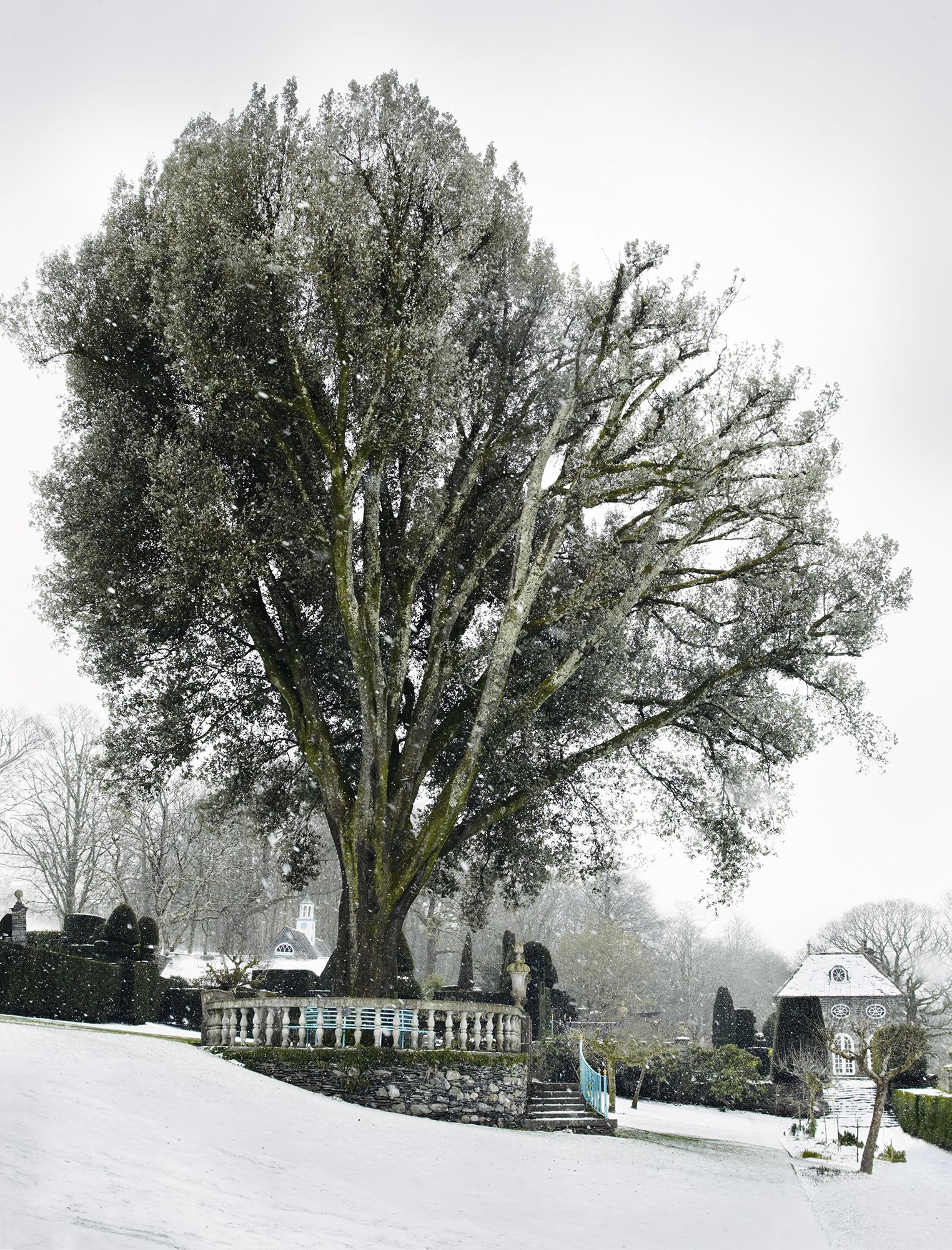 Winter Gardens by Clare Foster and Andrew Montgomery