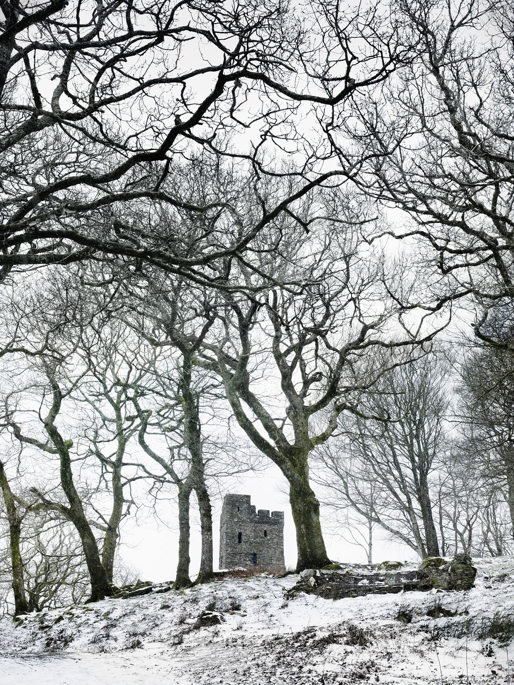 A path from the house leads out of the garden and up a hill to Pentwr the imposing folly designed by Clough...