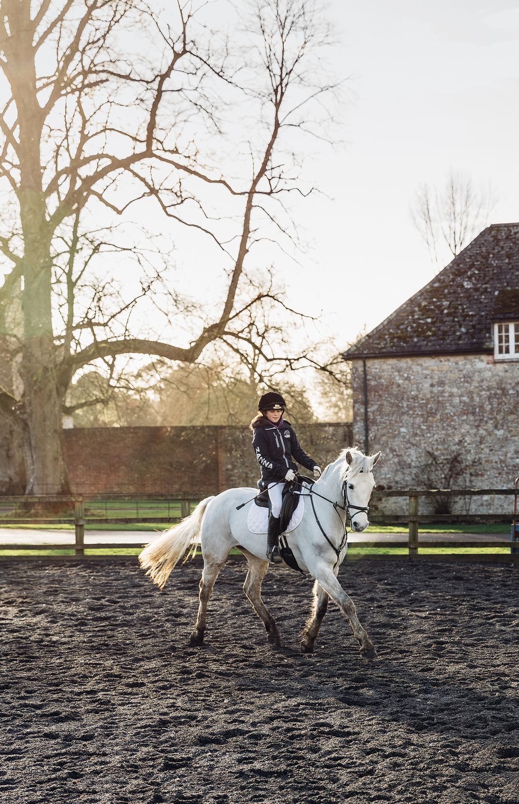 Image may contain Animal Mammal Horse Human Person and Equestrian