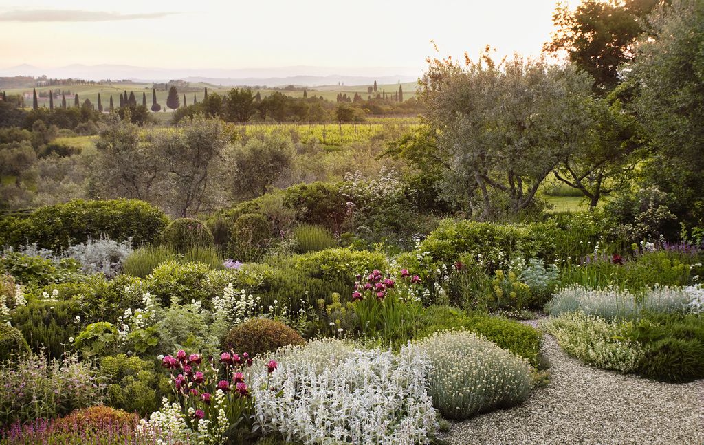 Image may contain Plant Vase Pottery Potted Plant Jar Outdoors Herbs Planter Flower Blossom Road and Garden