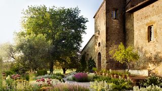 Image may contain Plant Grass Outdoors Vase Pottery Potted Plant Jar Garden Path Walkway and Planter