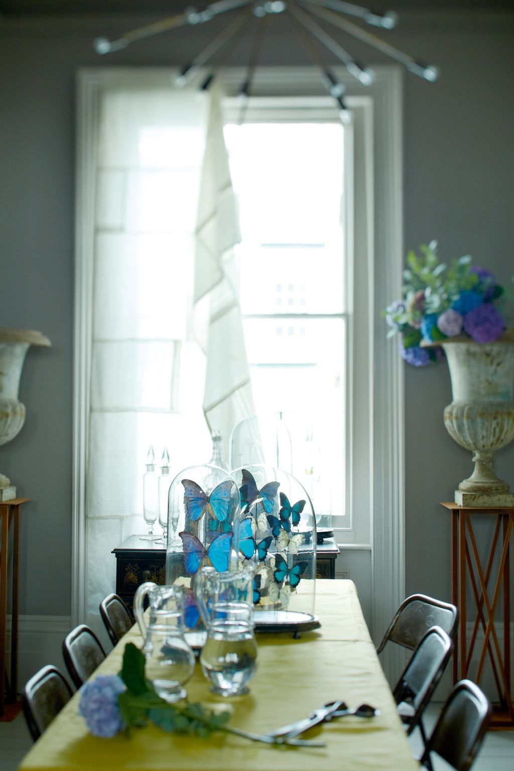 Butterfly Glass Domes  Blue Dining Room Ideas  Accessories