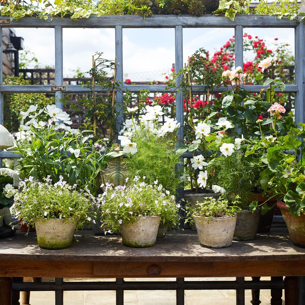 Smart ideas for small gardens