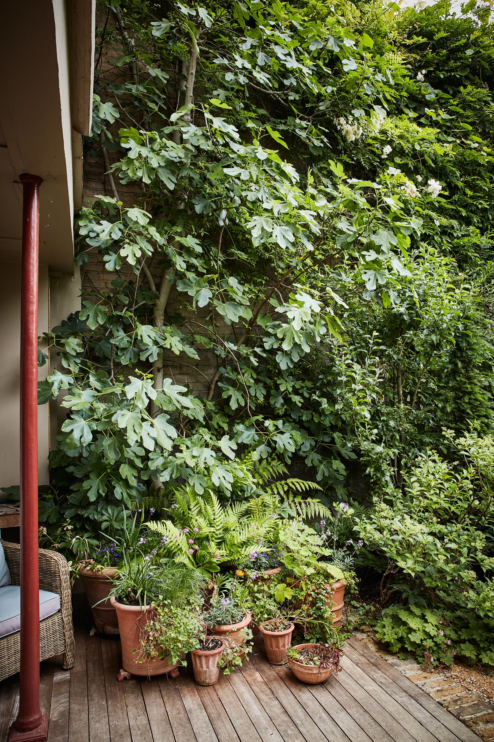 Smart ideas for small gardens