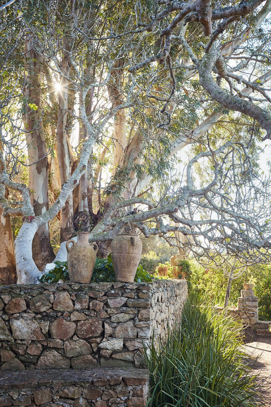 The steeply sloping garden around the house has been carved into a series of terraces.