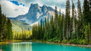 Image may contain Plant Tree Water Fir Abies Nature Outdoors Lake Mountain Conifer and Mountain Range