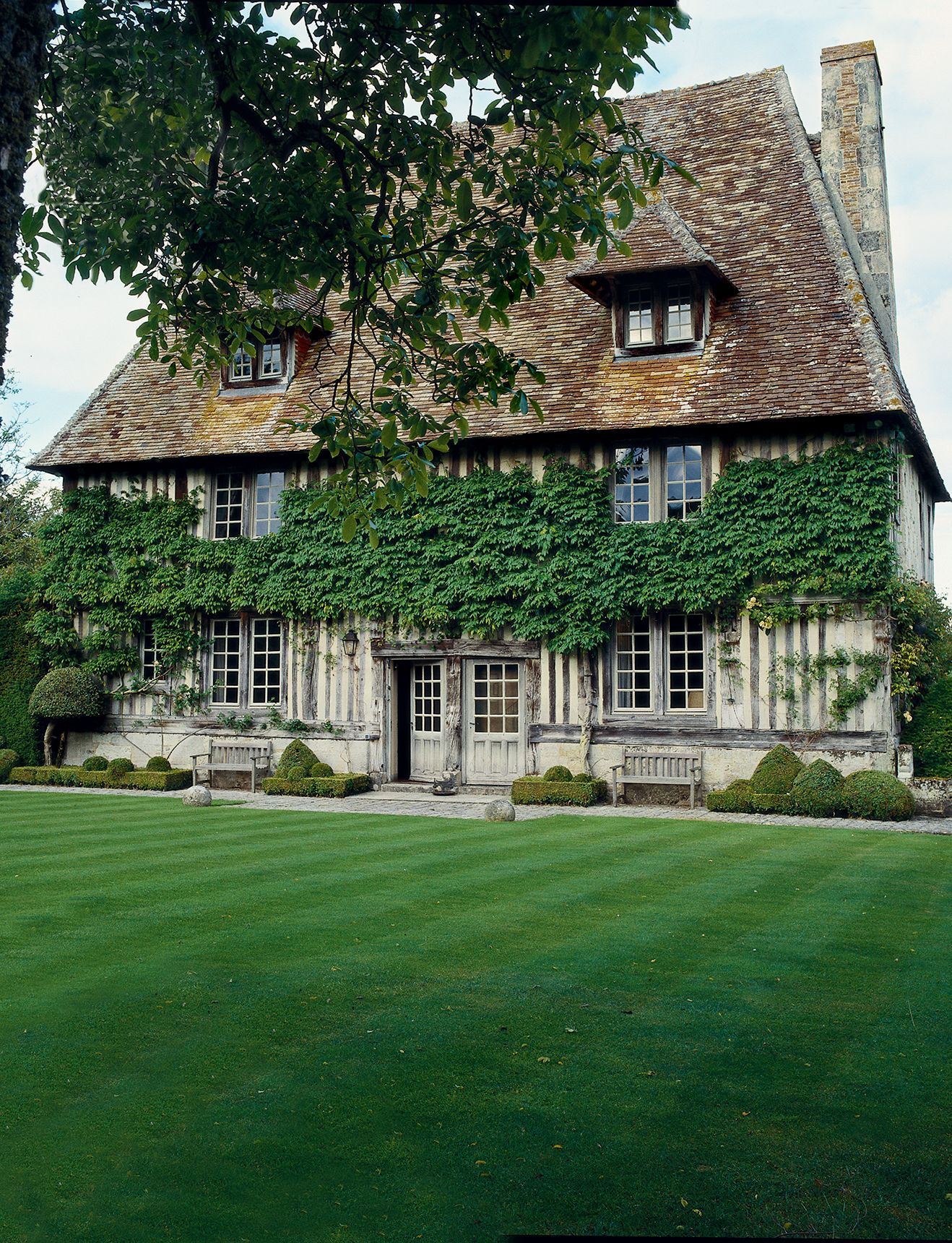 Image may contain Plant Grass and Lawn