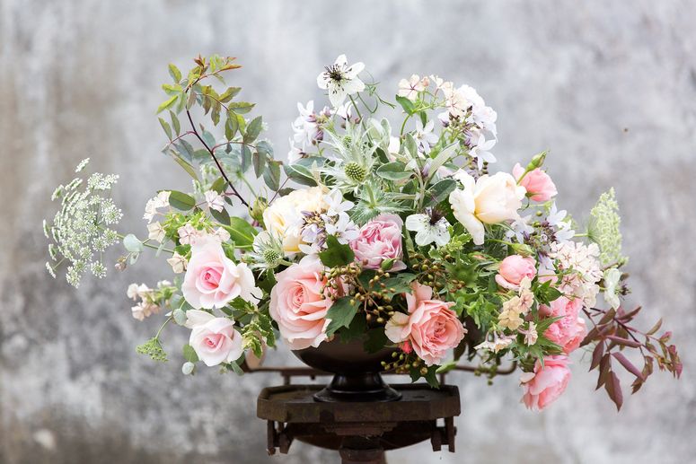 Image may contain: Plant, Flower, Blossom, Graphics, Floral Design, Art, Pattern, Flower Bouquet, and Flower Arrangement