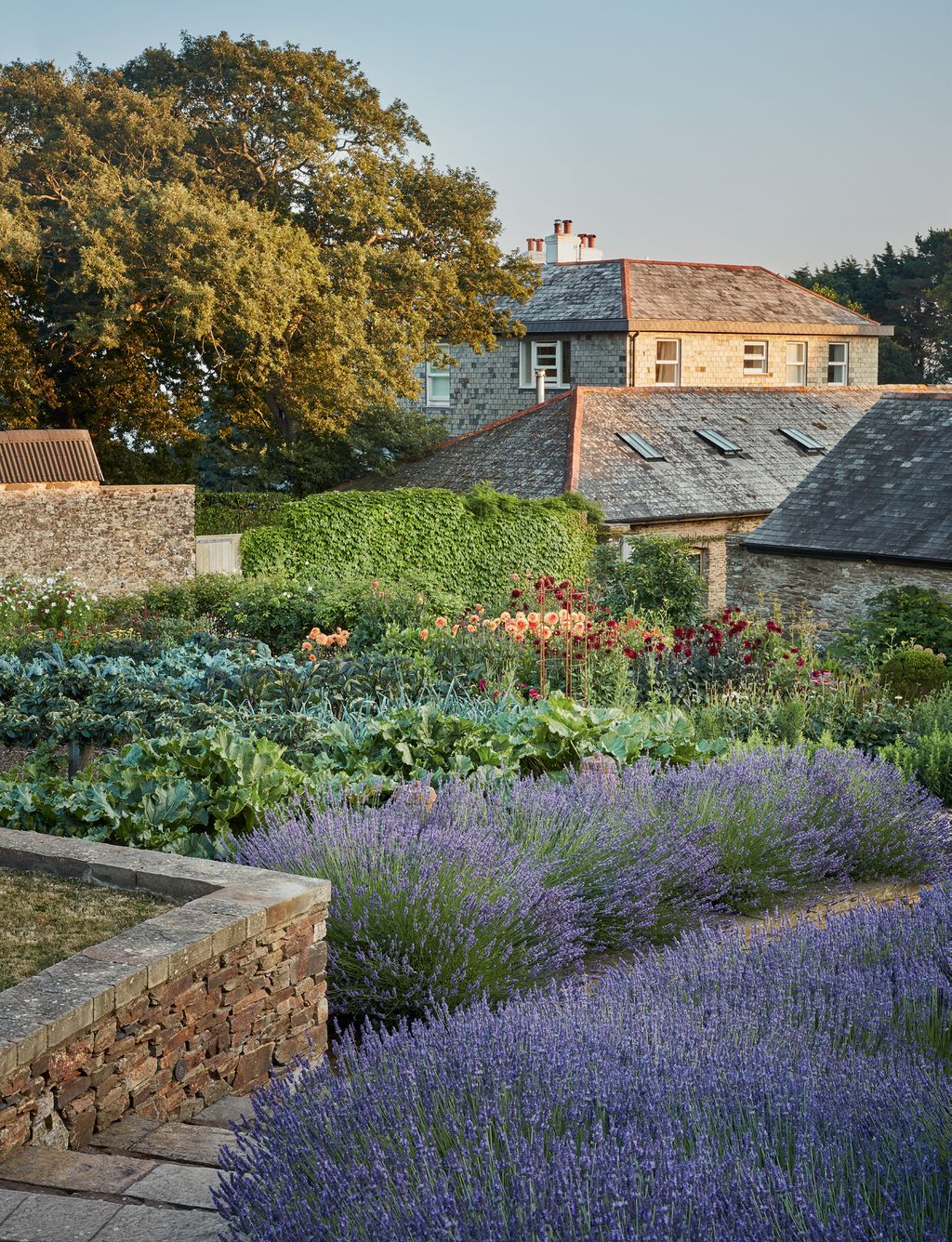 Image may contain Plant Vase Pottery Potted Plant Jar Roof Outdoors Planter and Garden