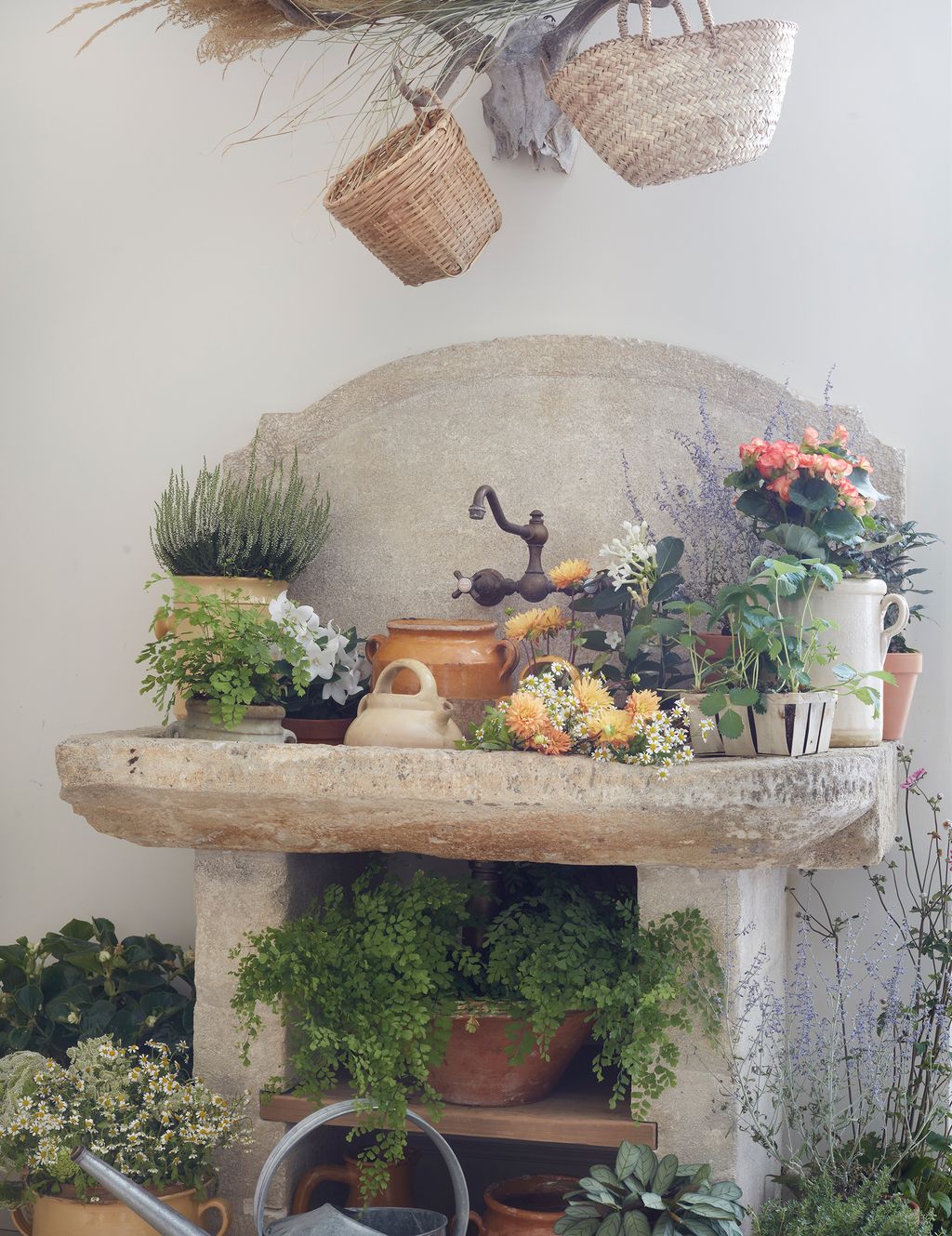 Image may contain Plant Flower Blossom Vase Pottery Jar Flower Arrangement Potted Plant and Flower Bouquet