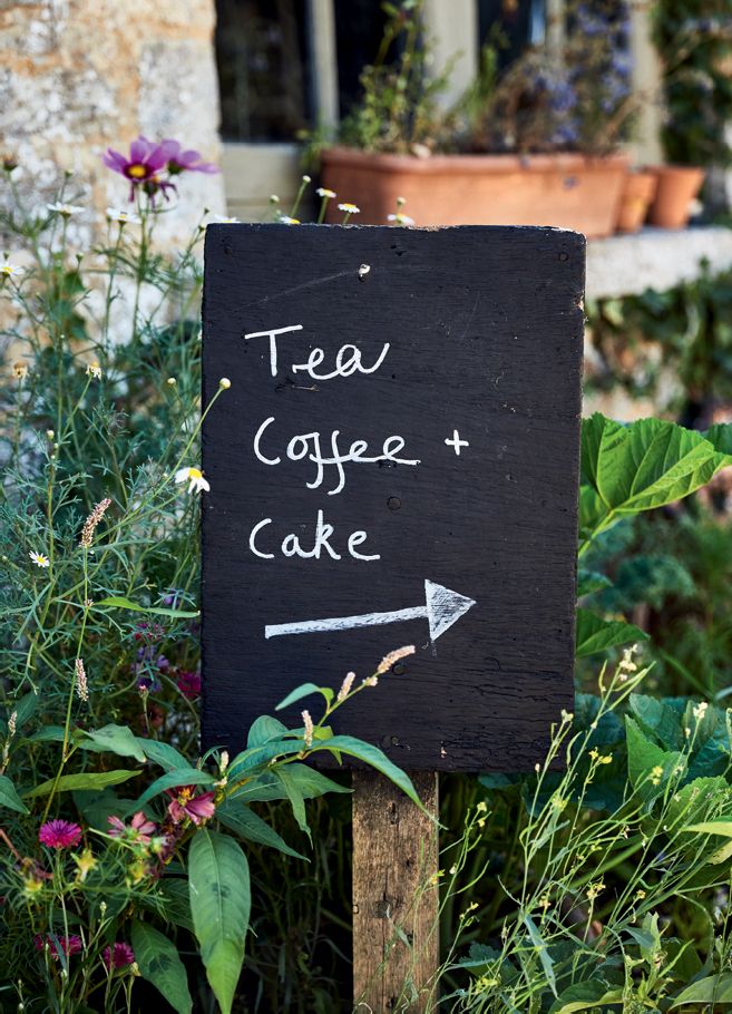Image may contain Plant Vase Pottery Potted Plant Jar Flower Blossom and Text