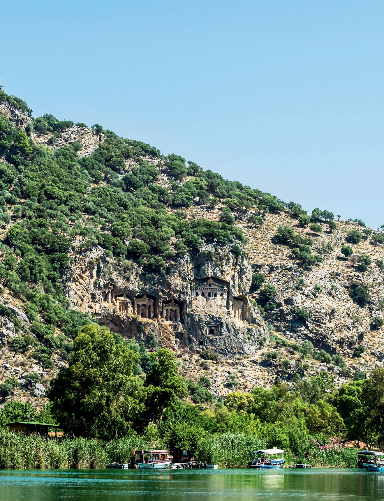 Image may contain Nature Outdoors Bush Vegetation Plant Cliff and Mountain