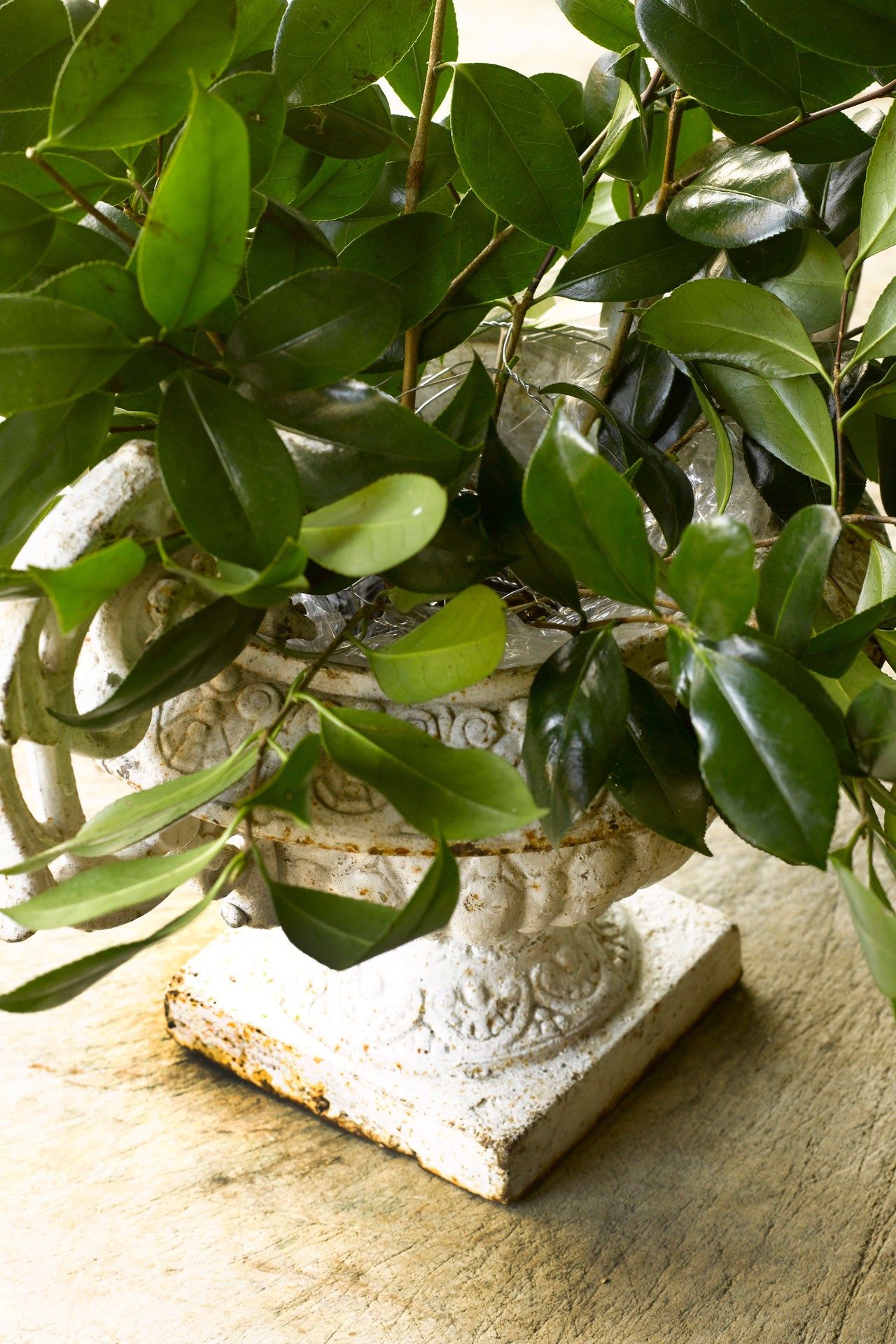 Flower arranging with chicken wire