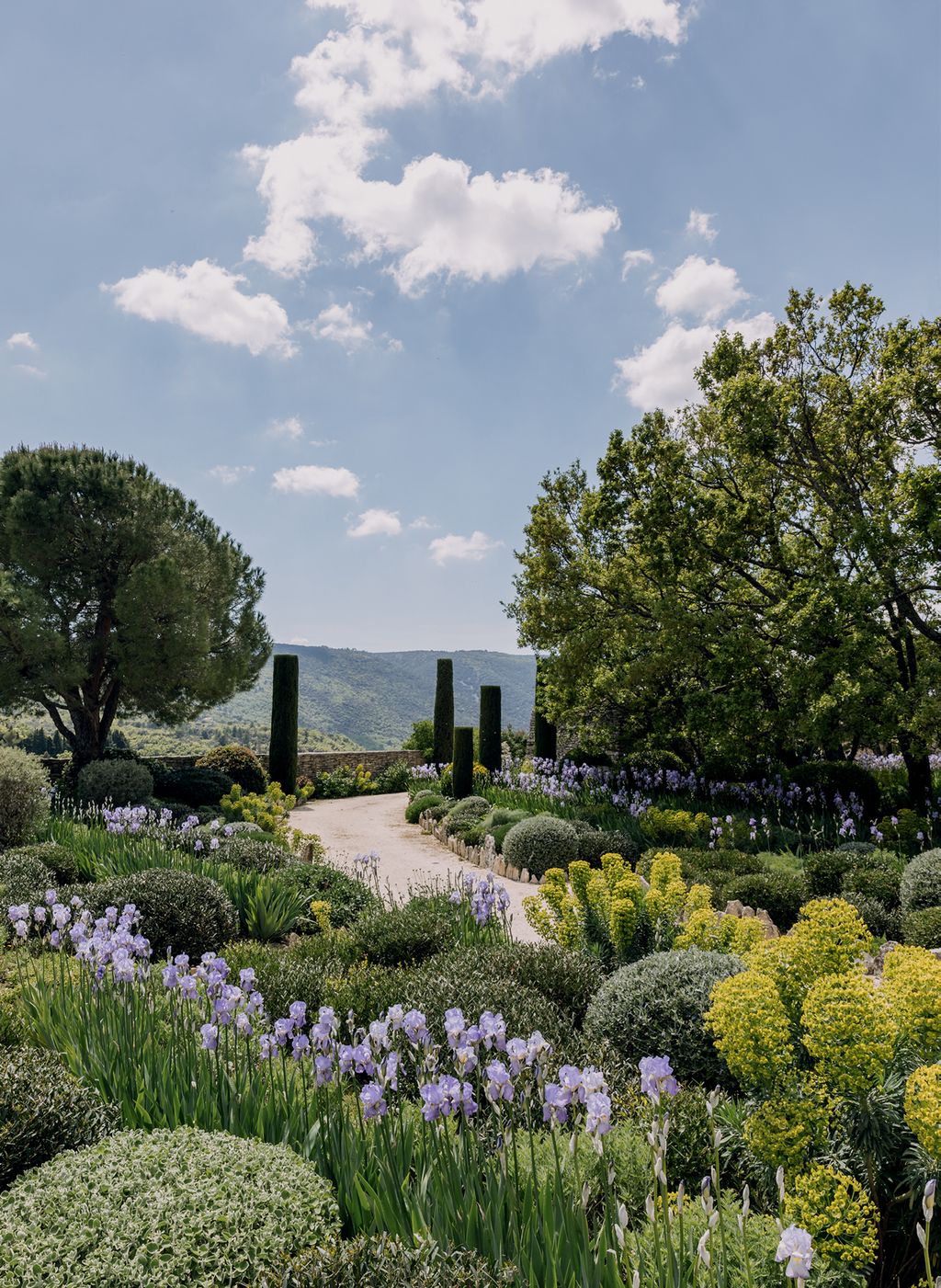 Image may contain Plant Outdoors Garden Vase Pottery Potted Plant Jar Arbour Tree Grass Planter Herbs and City