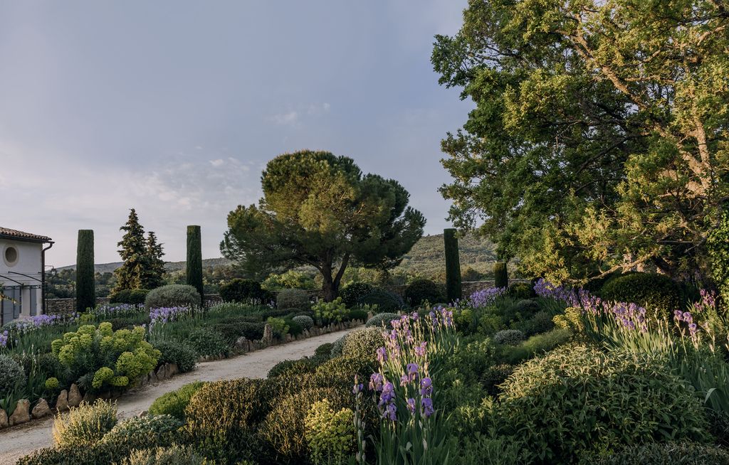 Image may contain Garden Arbour Outdoors Plant Tree Flower and Blossom