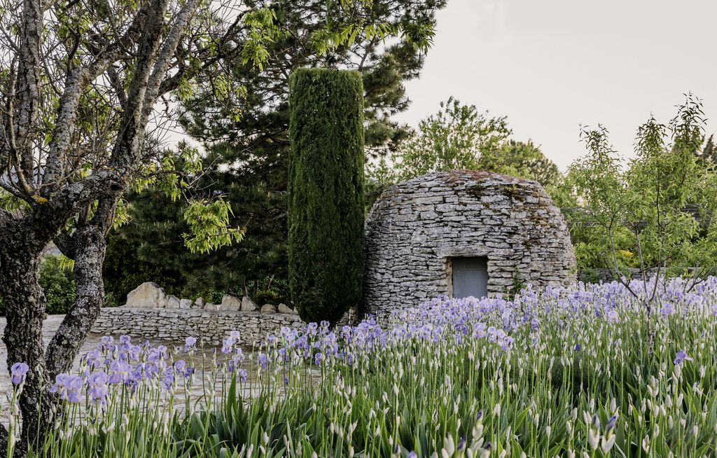 Image may contain Plant Flower Lupin and Blossom
