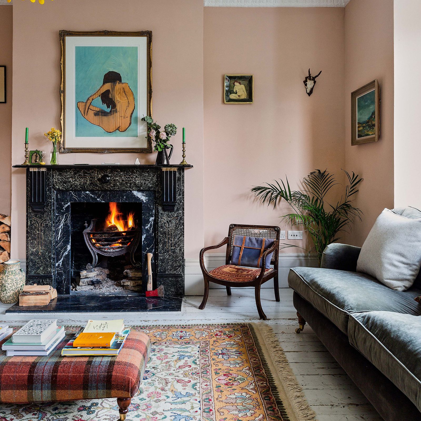 Low-light houseplants: shade-loving plants for darker spaces