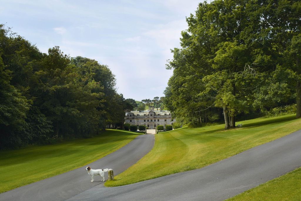 Image may contain Outdoors Field Grass Plant Golf Course Animal Dog Mammal Pet Canine and Path