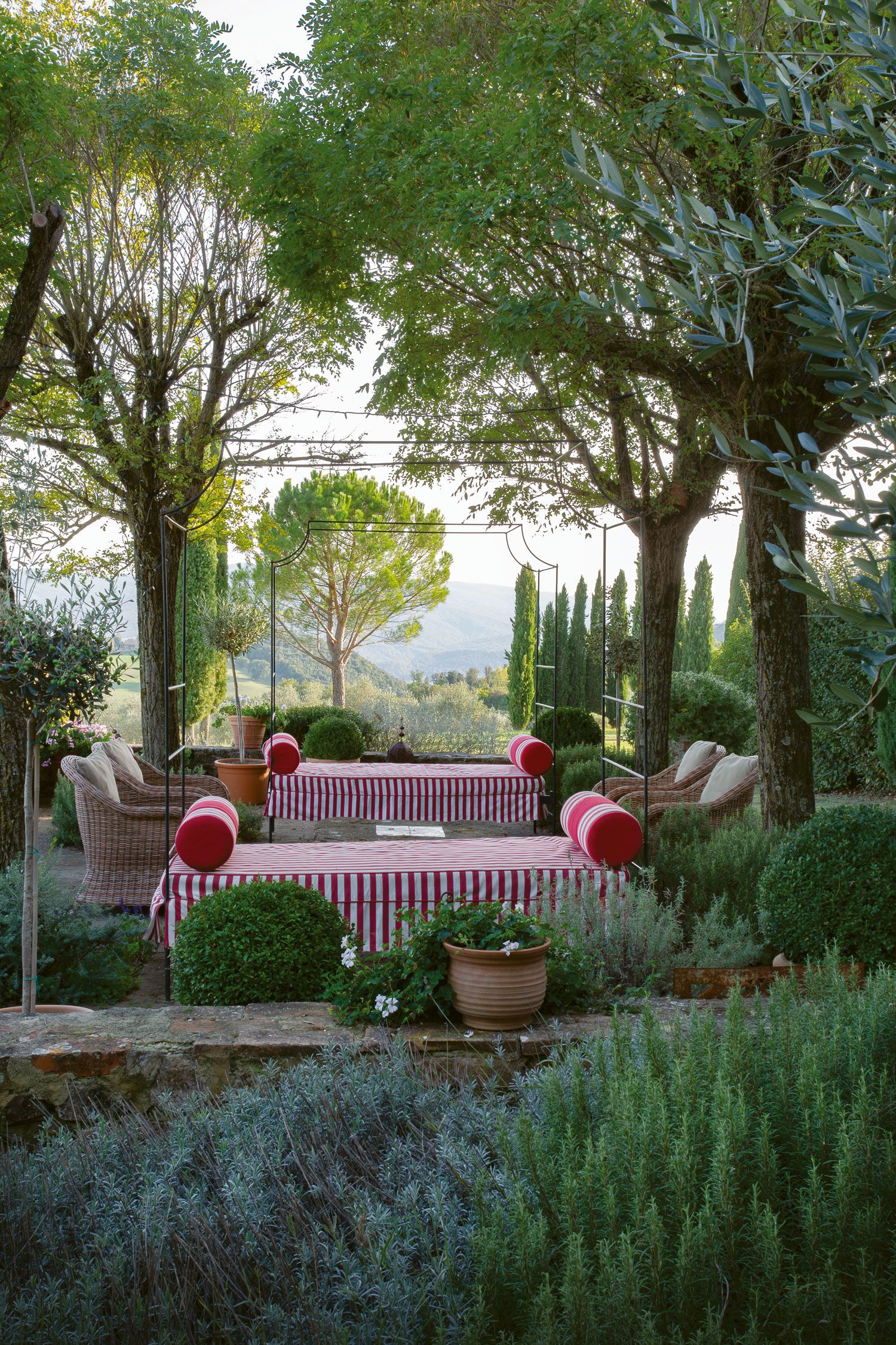 Image may contain Outdoors Yard Nature Garden Grass Plant Furniture Arbour Patio Vase Pottery and Potted Plant