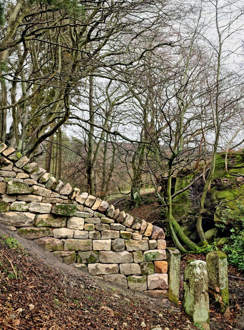Image may contain Path Tree Plant Wall Slate Ground Garden Arbour Outdoors Gravel Road Dirt Road and Walkway