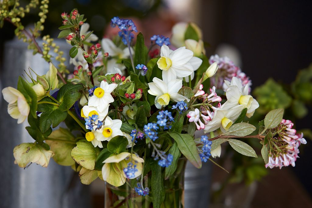 Image may contain Plant Flower Blossom Flower Arrangement and Flower Bouquet