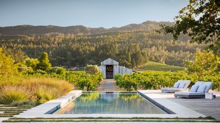 Image may contain Water Outdoors Pool Tree Plant Building Swimming Pool Nature Hotel and Land