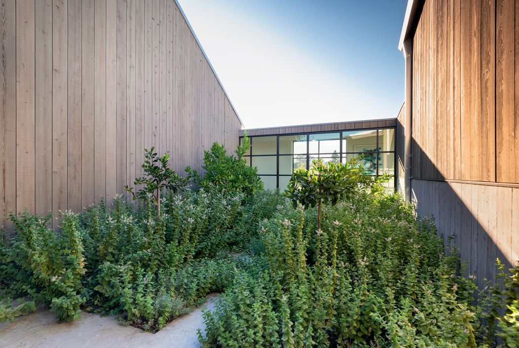 Image may contain Vase Plant Pottery Potted Plant Jar Planter Herbs Herbal Bush Vegetation and Outdoors