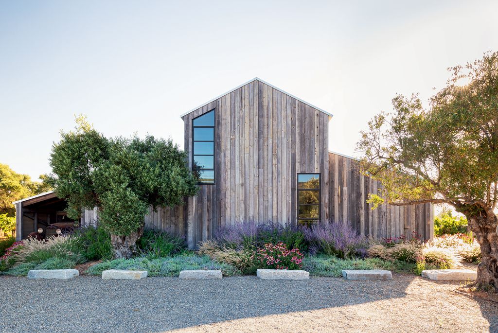 Image may contain Path Walkway Home Decor Flagstone Gravel Road Dirt Road Plant Grass Tree Sidewalk and Pavement