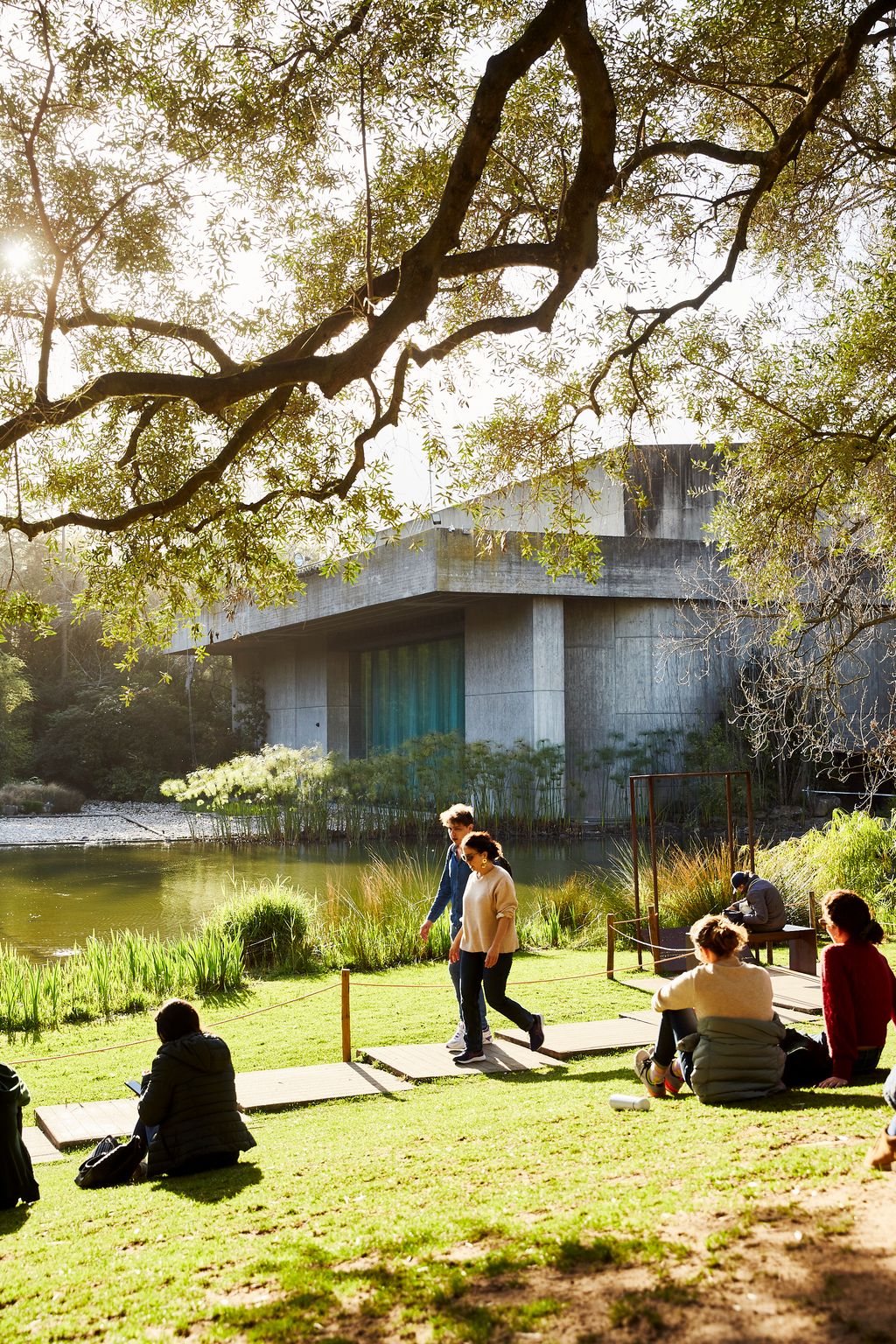 Image may contain Human Person Tree Plant Grass Vacation Food Meal Outdoors Park Lawn Vegetation and Tree Trunk