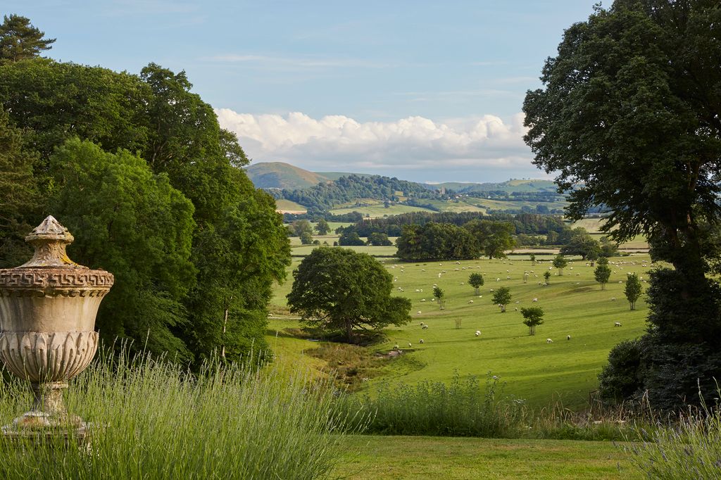 Image may contain Nature Outdoors Field Grassland Grass Plant Tree Countryside Rural Farm Meadow Fir and Abies