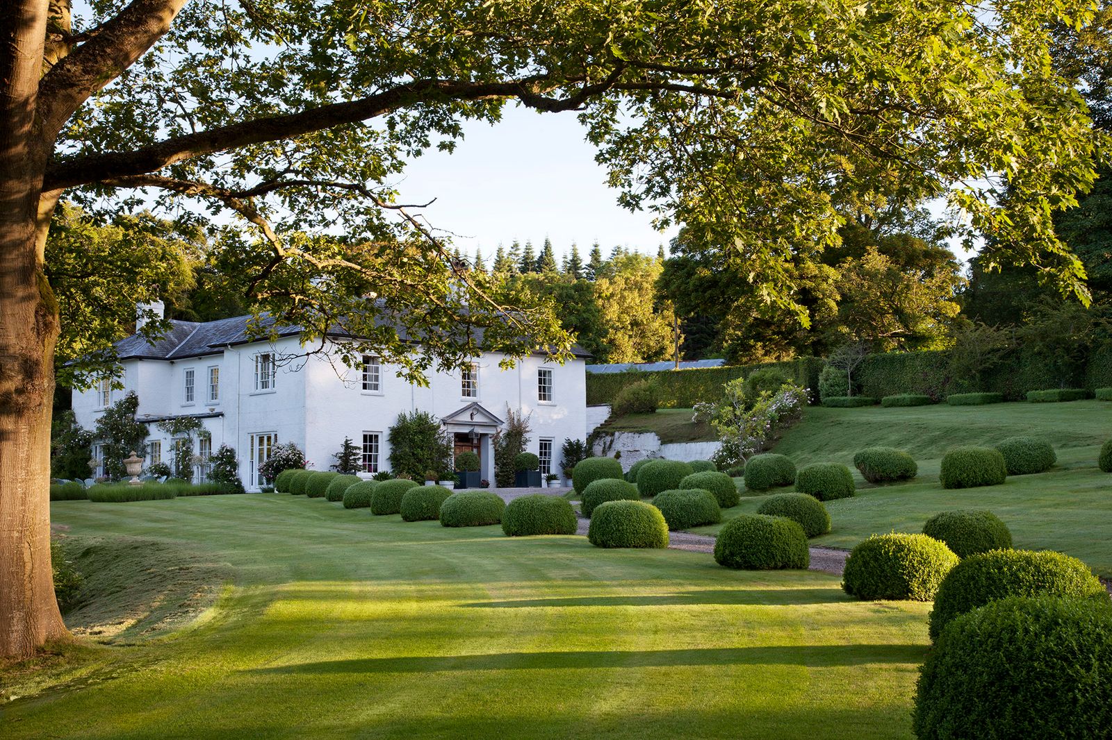 Image may contain Plant Grass Lawn Outdoors and Field