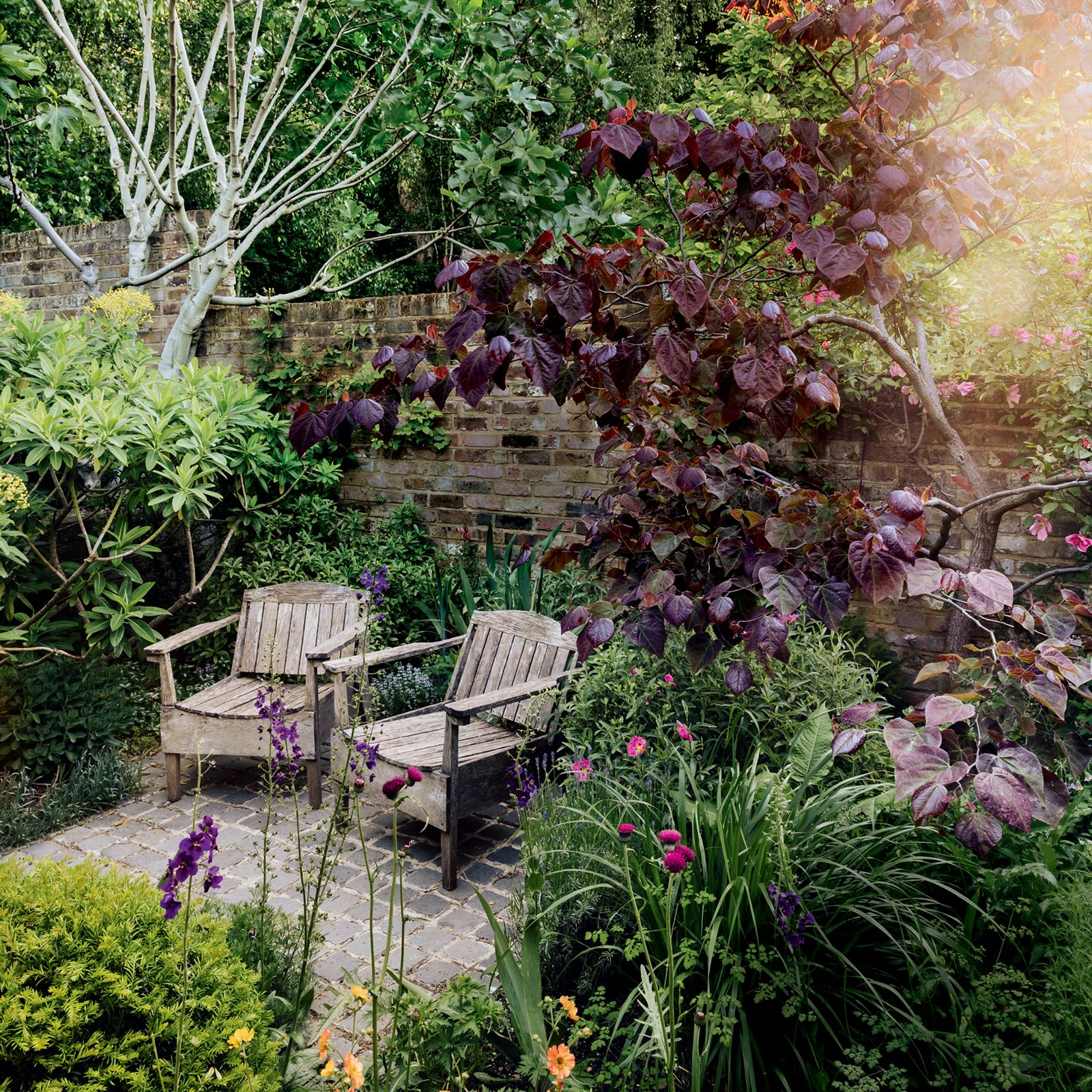 Landscape designer Emily Erlam's elegantly structured London garden