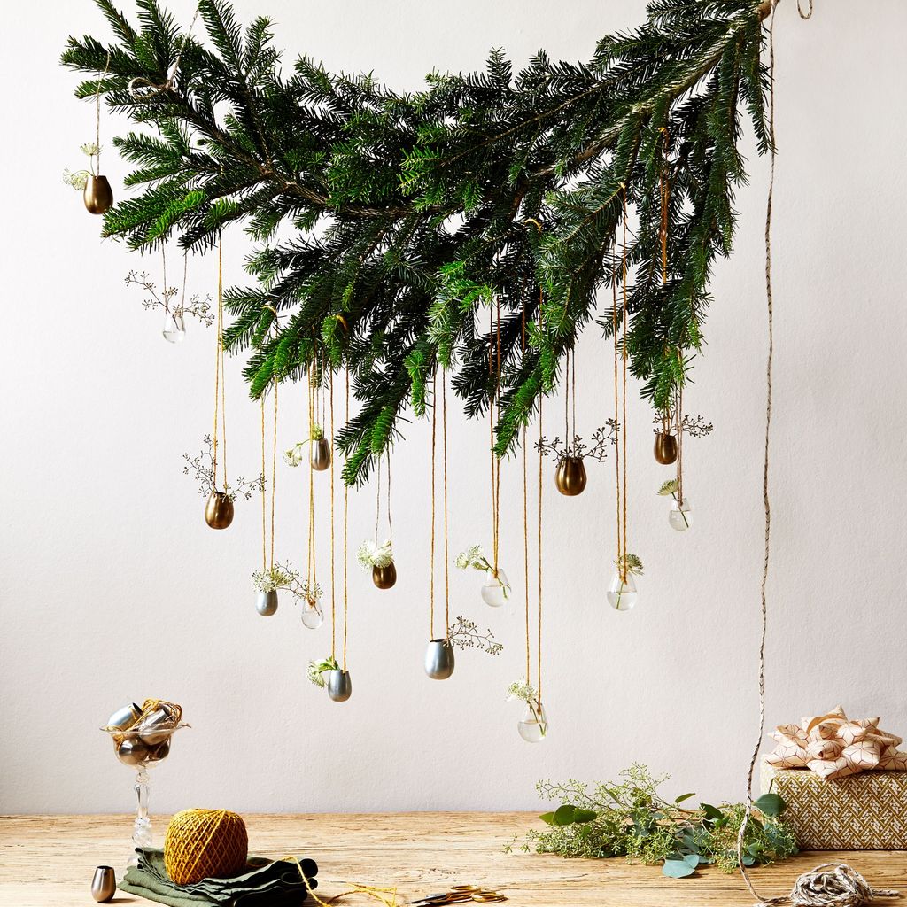 Image may contain Plant Tree and Wood