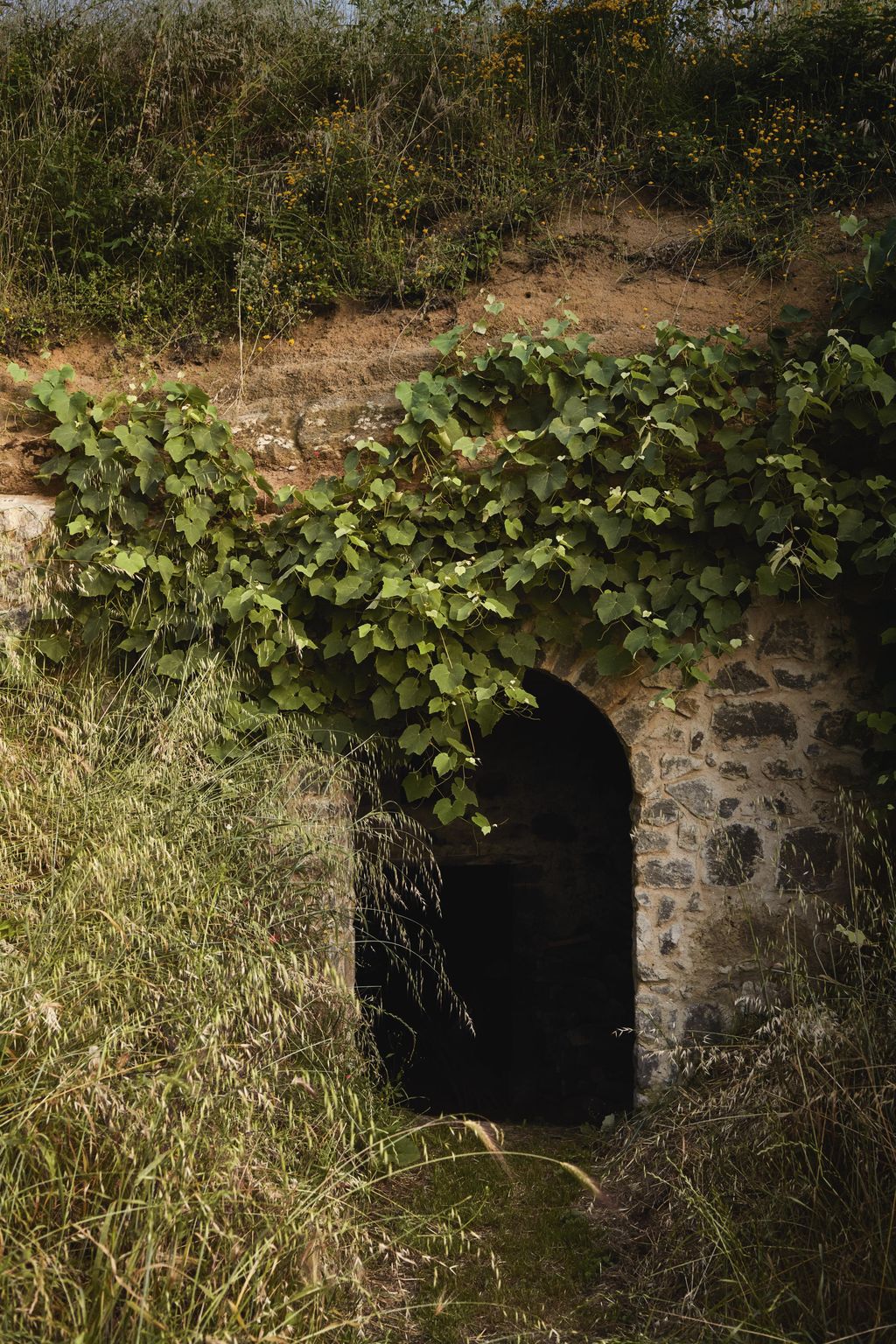Image may contain Building Bunker and Plant